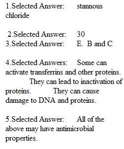 Post Lab - Effect of Heavy Metals